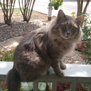 Meet your Posher, Keith